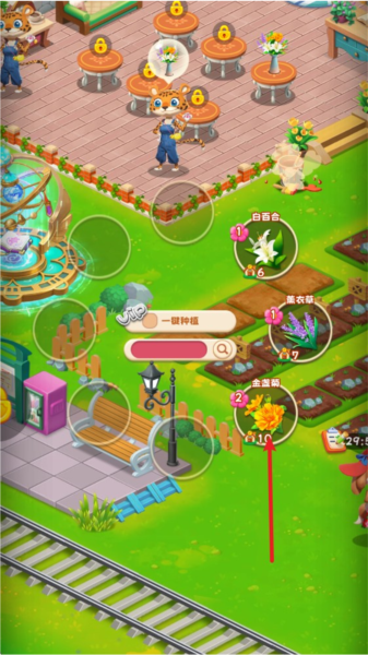 动物花店1