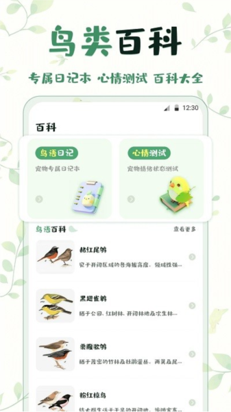 鸟语翻译3
