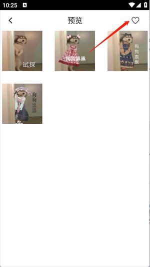 表情包合集