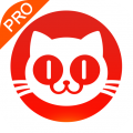 猫眼专业版下载 v8.9.0