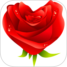 玫瑰视频播放器官方版