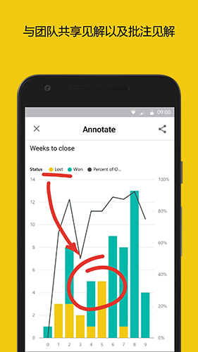 PowerBIapp v2.2.250618.21254315