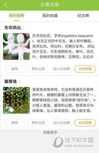 东篱花草APP