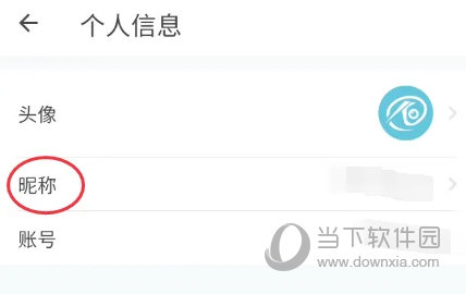 小鹰看看