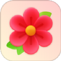 红花流量宝app V1.0.2