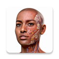 completeanatomy中文版 v9.5.0