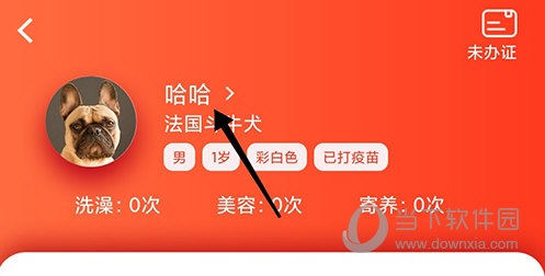 宠物家宠物详情