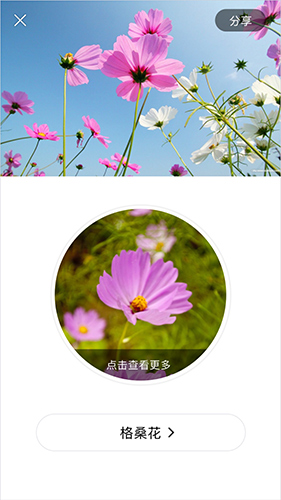 识花app v5.0.2