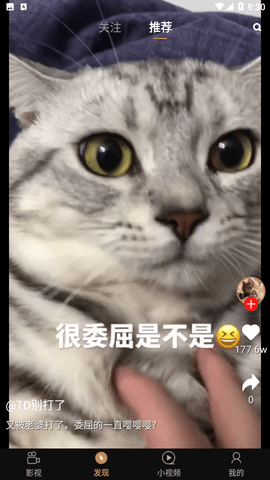 天天影视大全2024最新官方版