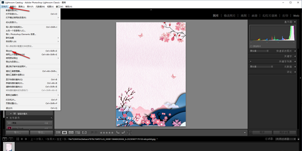lightroom调色软件手机版9.3.0