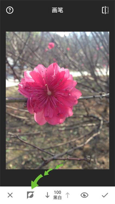Snapseed中文版