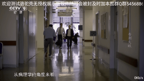 骆驼直播2024最新版
