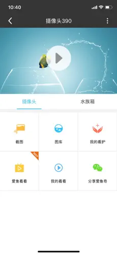 爱鱼奇app2