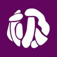 终极影视官方版下载