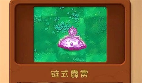 植物大战僵尸共生版正版