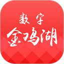 数字金鸡湖官方版下载