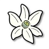 Azahar模拟器软件