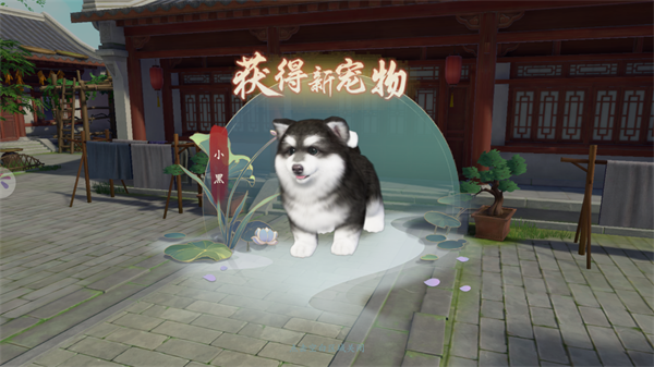 浮生忆玲珑图片18