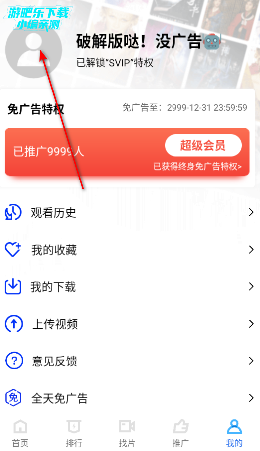 天鹅视频高清版