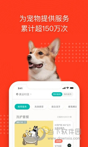 宠物家