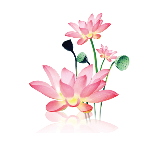 水墨工具箱app安卓最新版本v1.2.0 安卓版 