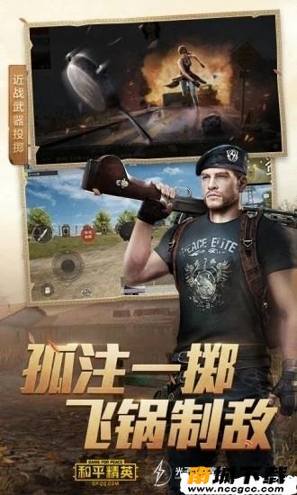 预览图1