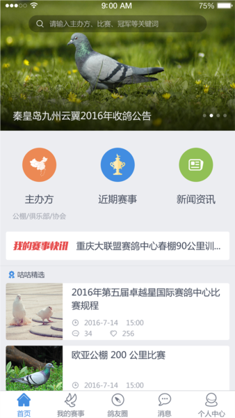 咕咕信鸽图片4