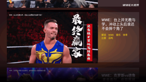 WWE大视界盒子版