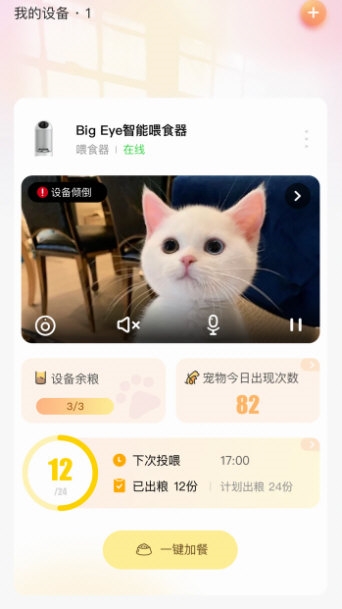 宠陪陪