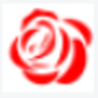 残花视频下载安装