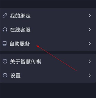 智慧传祺图片11