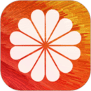 透明动态壁纸下载 v5.5.2