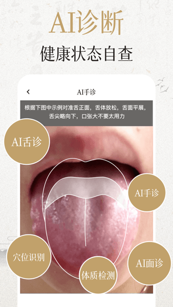 经络穴位3D3