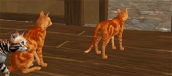 猫咪格斗战争模拟器