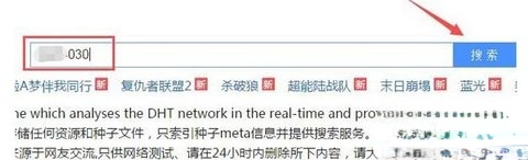 磁力王