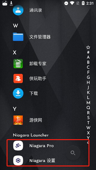 Niagara Launcher图片17