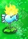 植物大战僵尸废物版
