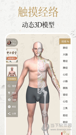 中济经络穴位