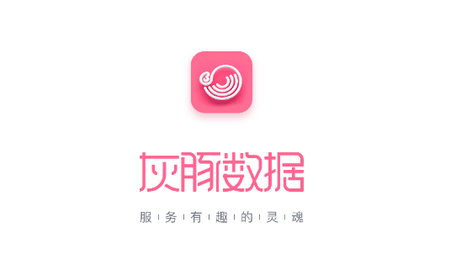 灰豚数据2025最新版