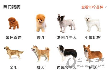 宠物市场APP下载
