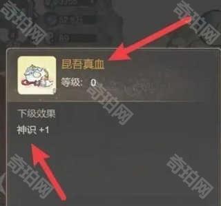 道天录失忆者怎么恢复记忆？3