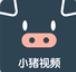 小猪视频免费汅版影视直播APP