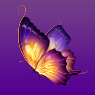 蝴蝶直播网盘破解版v1.1.1