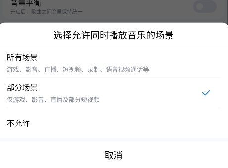 允许与其他应用同时播放