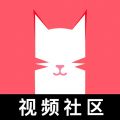 猫咪视频app官网版v1.1.5