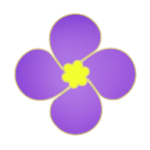 紫金草视频去广告纯净版