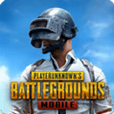 pubg地铁逃生3.9版本下载 v3.6.2