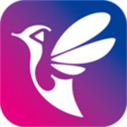 飞树直播app下载安卓