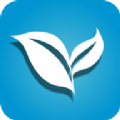 叶子TVv1.3.3
