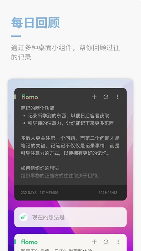 flomo笔记